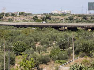 Facendo molta attenzione decidiamo di salire sul �tetto� della struttura, dal quale riusciamo a osservare il lungo corso della lama che si estende fino a Bari citt�
